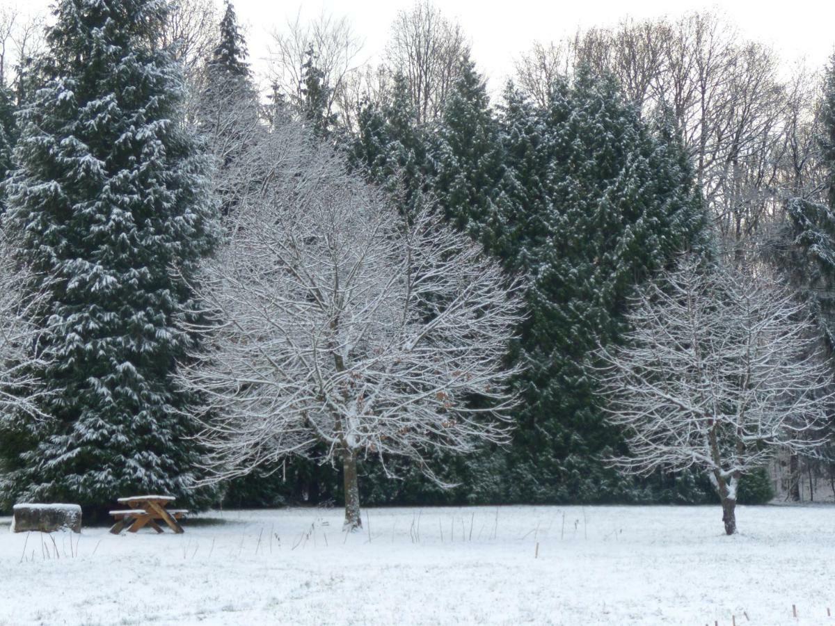 Vila La Clairiere Du Verbamont Claudon Exteriér fotografie